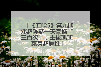 《五哈5》第九期邓超陈赫一天互掐“三百次”，王俊凯韭菜舞超魔性
