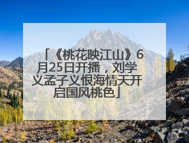 《桃花映江山》6月25日开播，刘学义孟子义恨海情天开启国风桃色