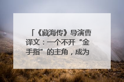 《藏海传》导演曹译文：一个不开“金手指”的主角，成为苍生守护者