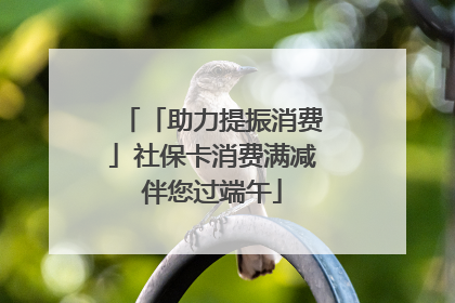 「助力提振消费」社保卡消费满减伴您过端午