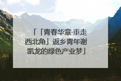 「青春华章·重走西北角」返乡青年谢凯龙的绿色产业梦