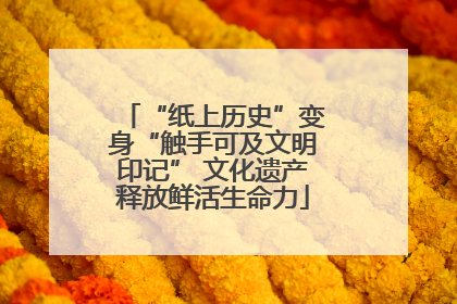 “纸上历史”变身“触手可及文明印记” 文化遗产释放鲜活生命力