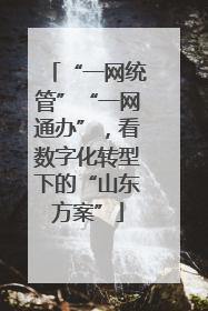 “一网统管”“一网通办”，看数字化转型下的“山东方案”
