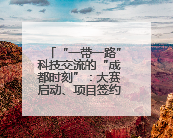 “一带一路”科技交流的“成都时刻”：大赛启动、项目签约，50项“成都造”黑科技吸引多国客商