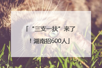 “三支一扶”来了！湖南招600人