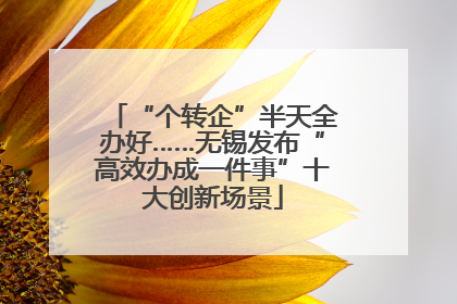 “个转企”半天全办好……无锡发布“高效办成一件事”十大创新场景