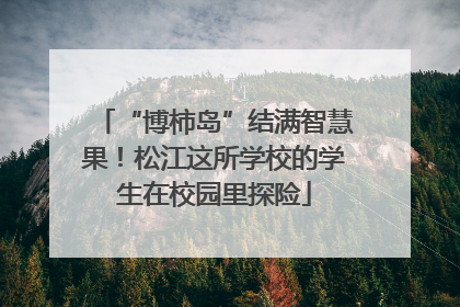 “博柿岛”结满智慧果！松江这所学校的学生在校园里探险
