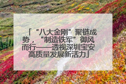 “八大金刚”聚链成势，“制造铁军”御风而行——透视深圳宝安高质量发展新活力