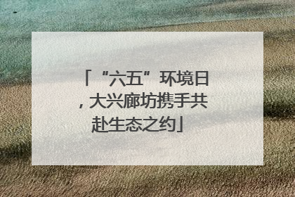 “六五”环境日，大兴廊坊携手共赴生态之约