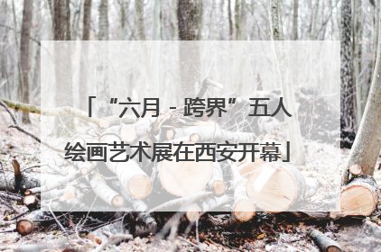 “六月 - 跨界”五人绘画艺术展在西安开幕