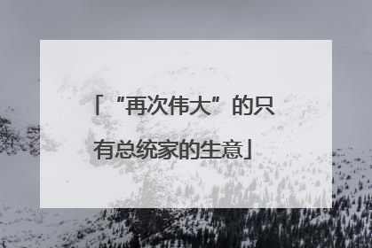 “再次伟大”的只有总统家的生意