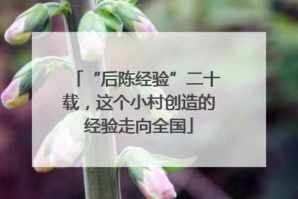 “后陈经验”二十载，这个小村创造的经验走向全国