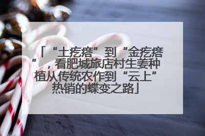 “土疙瘩”到“金疙瘩”，看肥城旅店村生姜种植从传统农作到“云上”热销的蝶变之路