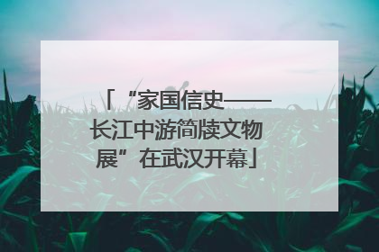 “家国信史——长江中游简牍文物展”在武汉开幕