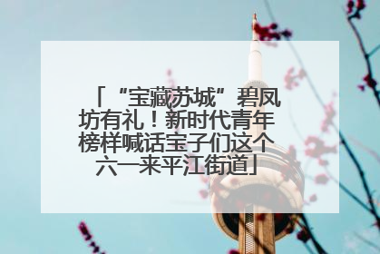 “宝藏苏城”碧凤坊有礼！新时代青年榜样喊话宝子们这个六一来平江街道