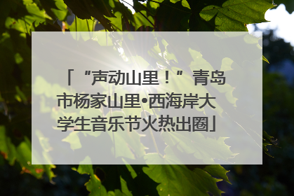 “声动山里！”青岛市杨家山里•西海岸大学生音乐节火热出圈