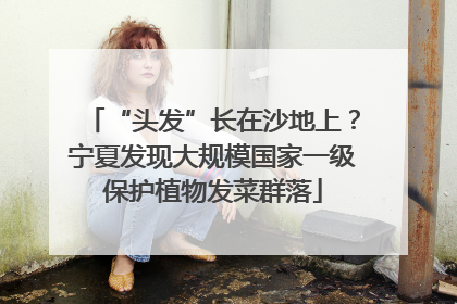 “头发”长在沙地上？宁夏发现大规模国家一级保护植物发菜群落