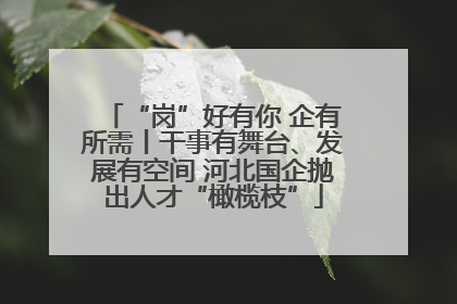 “岗”好有你 企有所需丨干事有舞台、发展有空间 河北国企抛出人才“橄榄枝”