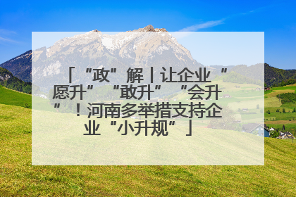“政”解丨让企业“愿升”“敢升”“会升”！河南多举措支持企业“小升规”