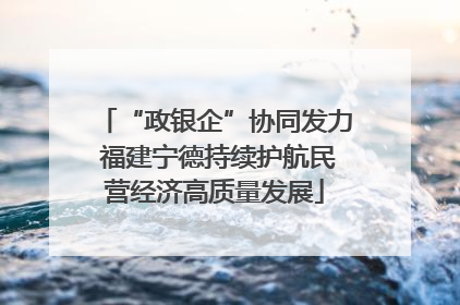 “政银企”协同发力 福建宁德持续护航民营经济高质量发展