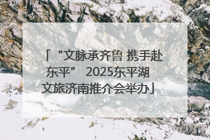 “文脉承齐鲁 携手赴东平” 2025东平湖文旅济南推介会举办