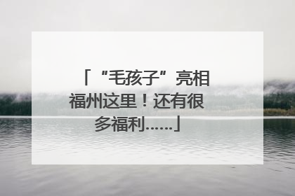 “毛孩子”亮相福州这里！还有很多福利……