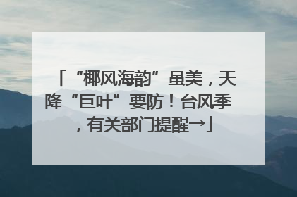 “椰风海韵”虽美，天降“巨叶”要防！台风季，有关部门提醒→