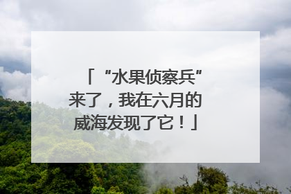 “水果侦察兵”来了，我在六月的威海发现了它！