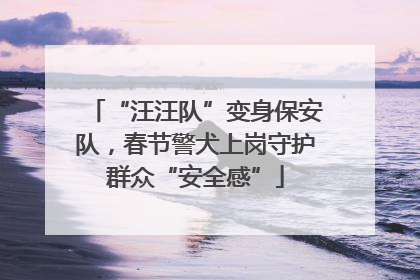 “汪汪队”变身保安队，春节警犬上岗守护群众“安全感”