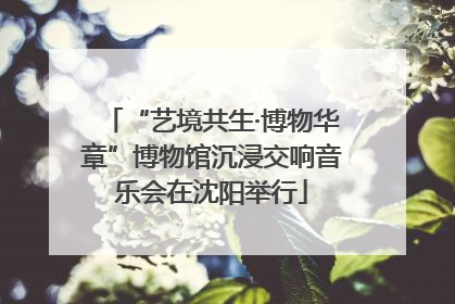 “艺境共生·博物华章”博物馆沉浸交响音乐会在沈阳举行