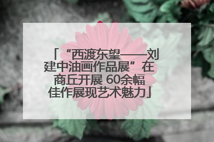 “西渡东望——刘建中油画作品展”在商丘开展 60余幅佳作展现艺术魅力