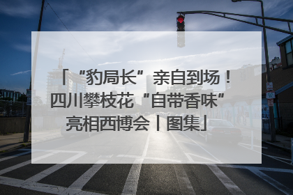 “豹局长”亲自到场！四川攀枝花“自带香味”亮相西博会丨图集