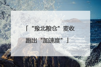 “豫北粮仓”麦收跑出“加速度”