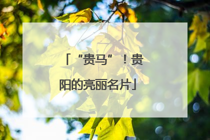 “贵马”！贵阳的亮丽名片