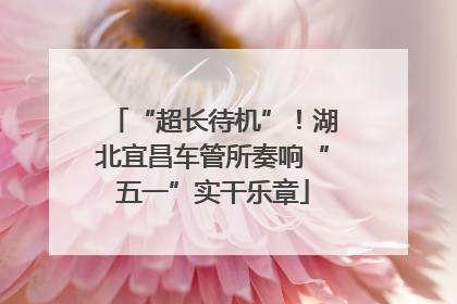 “超长待机”！湖北宜昌车管所奏响“五一”实干乐章