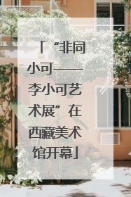 “非同小可——李小可艺术展”在西藏美术馆开幕