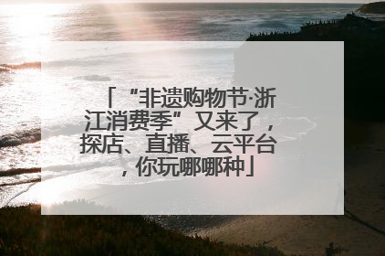 “非遗购物节·浙江消费季”又来了，探店、直播、云平台，你玩哪哪种