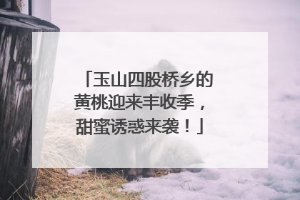 玉山四股桥乡的黄桃迎来丰收季，甜蜜诱惑来袭！