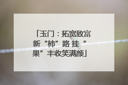 玉门：拓宽致富新“柿”路 挂“果”丰收笑满颜