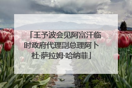 王予波会见阿富汗临时政府代理副总理阿卜杜·萨拉姆·哈纳菲