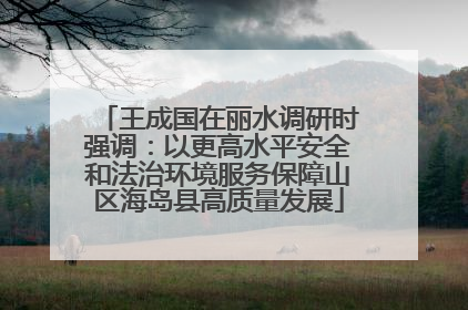 王成国在丽水调研时强调：以更高水平安全和法治环境服务保障山区海岛县高质量发展