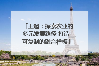 王超：探索农业的多元发展路径 打造可复制的融合样板