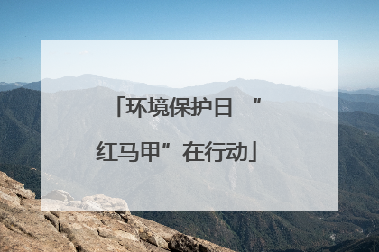 环境保护日 “红马甲”在行动