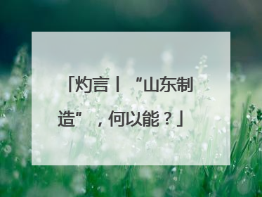 灼言丨“山东制造”，何以能？