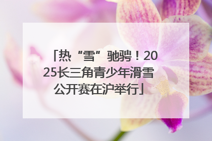 热“雪”驰骋！2025长三角青少年滑雪公开赛在沪举行