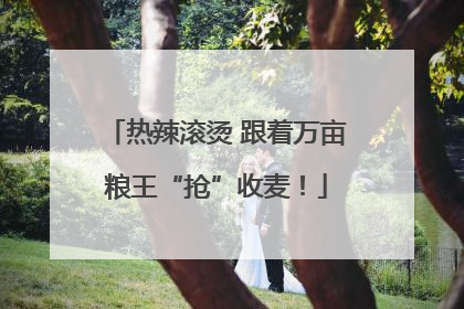 热辣滚烫 跟着万亩粮王“抢”收麦！