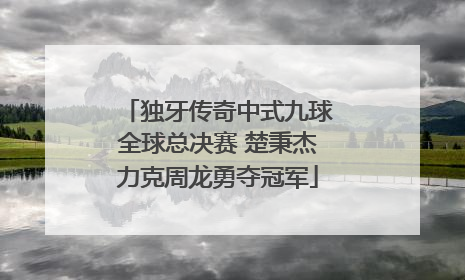 独牙传奇中式九球全球总决赛 楚秉杰力克周龙勇夺冠军