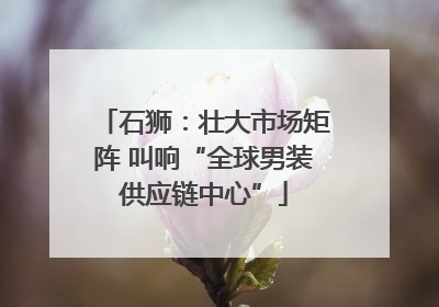 石狮：壮大市场矩阵 叫响“全球男装供应链中心”