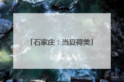 石家庄：当夏荷美