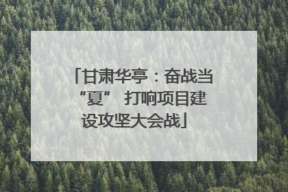 甘肃华亭：奋战当“夏” 打响项目建设攻坚大会战